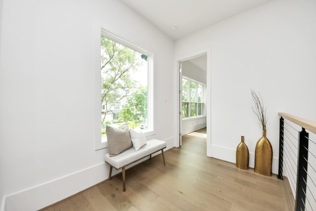 1017 Fisher St, Houston, TX 77018 - photo 44