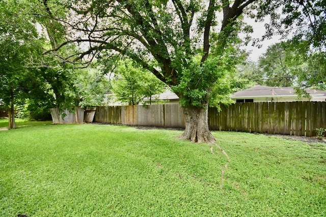 11931 Tanager St, Houston, TX 77072 - view of fenced backyard