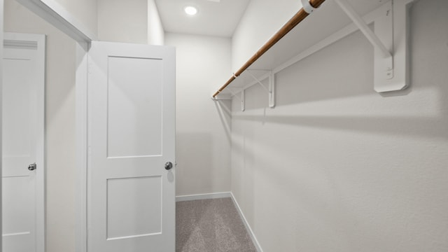 25021 Pomegranate Pl, Montgomery, TX 77316 - spacious closet featuring carpet flooring