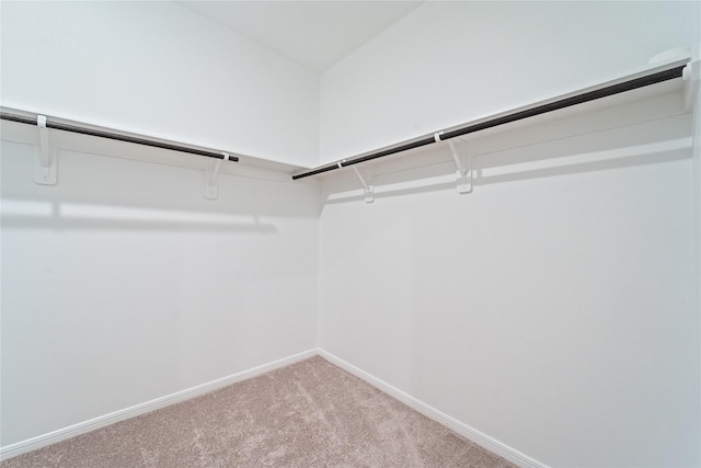 3111 Freiberger Ln, Alvin, TX 77511 - photo 19