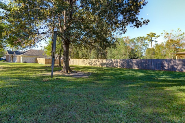 1603 Chart Dr, Crosby, TX 77532 - view of yard