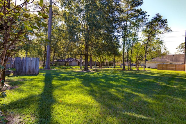 1603 Chart Dr, Crosby, TX 77532 - view of yard