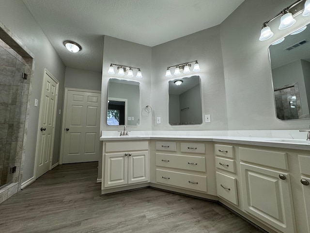 819 Companion Dr, Crosby, TX 77532 - bathroom featuring double vanity, a stall shower, and wood finished floors