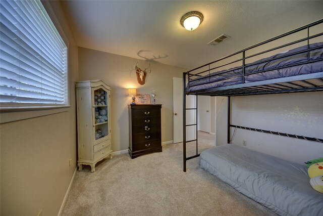 113 Machemehl Dr, Bellville, TX 77418 - photo 19