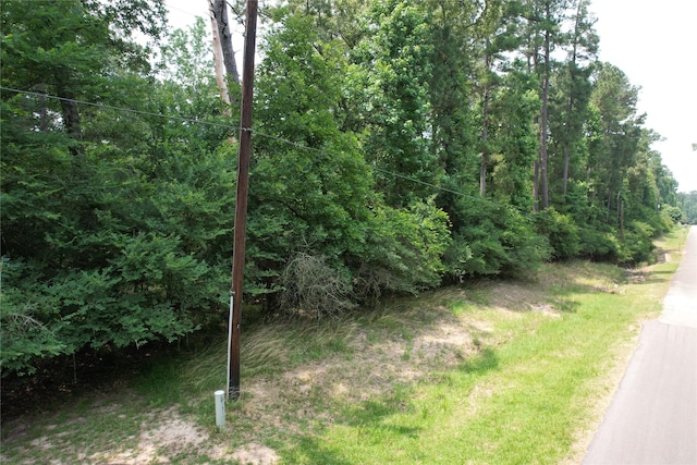 00 Wagon Wheel Rd, Stagecoach, TX 77355 - photo 1