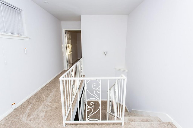 6407 Nuben St, Houston, TX 77091 - stairway featuring carpet floors and baseboards
