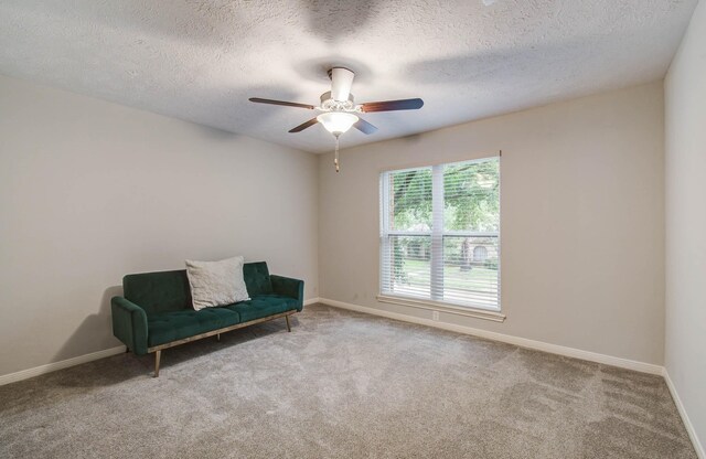 22523 Wildwood Grove Dr, Katy, TX 77450 - sitting room featuring carpet, ceiling fan, and a textured ceiling