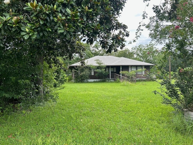 21394 Baptist Encampment Rd, New Caney, TX 77357 - view of green lawn