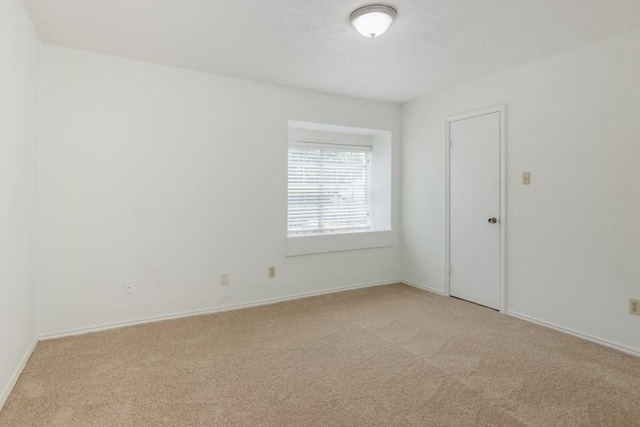 19310 Nasworthy Dr, Tomball, TX 77375 - photo 19