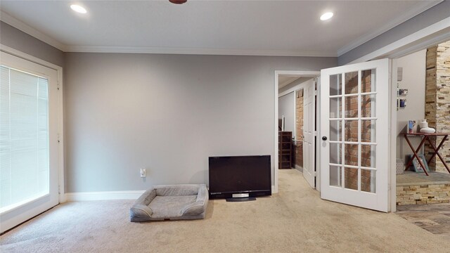 2010 Wildwood Dr, Deer Park, TX 77536 - unfurnished room with carpet, ornamental molding, and recessed lighting