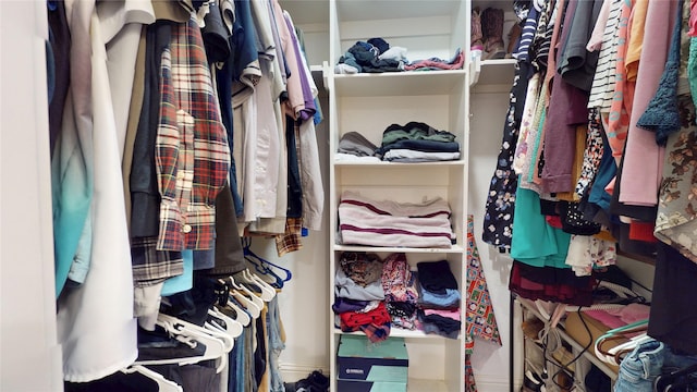 2010 Wildwood Dr, Deer Park, TX 77536 - view of spacious closet