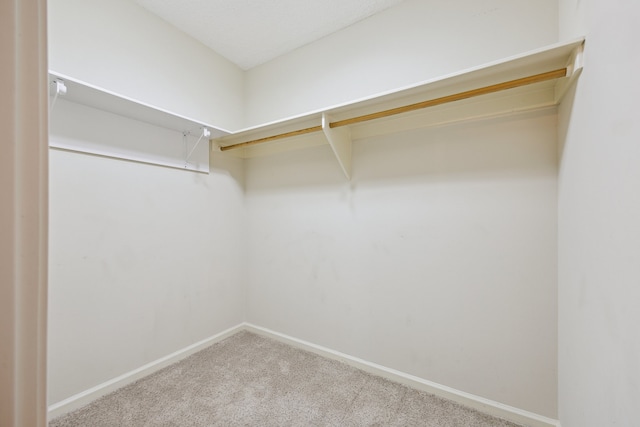5001 Woodway Dr Unit 1701, Houston, TX 77056 - walk in closet featuring carpet