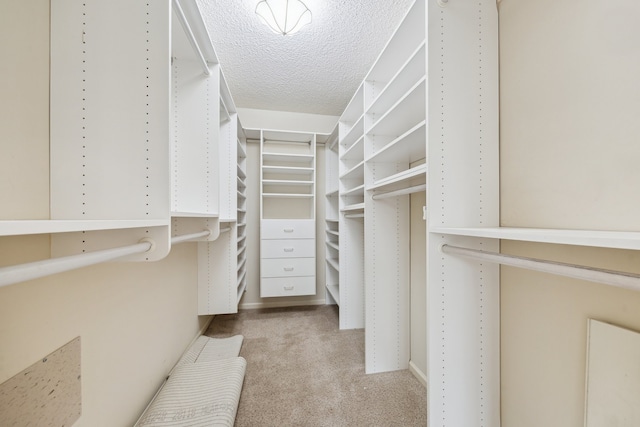 5001 Woodway Dr Unit 1701, Houston, TX 77056 - walk in closet featuring carpet flooring