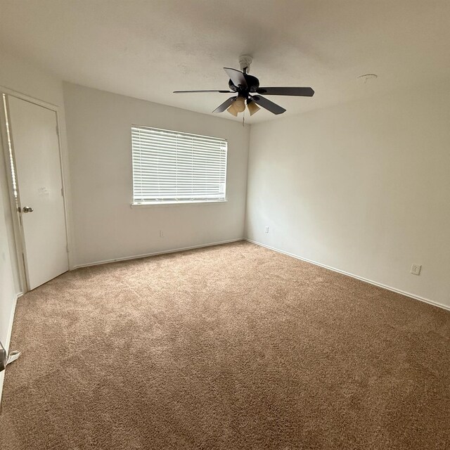 11422 Royal Thistle Ct, Houston, TX 77088 - photo 8