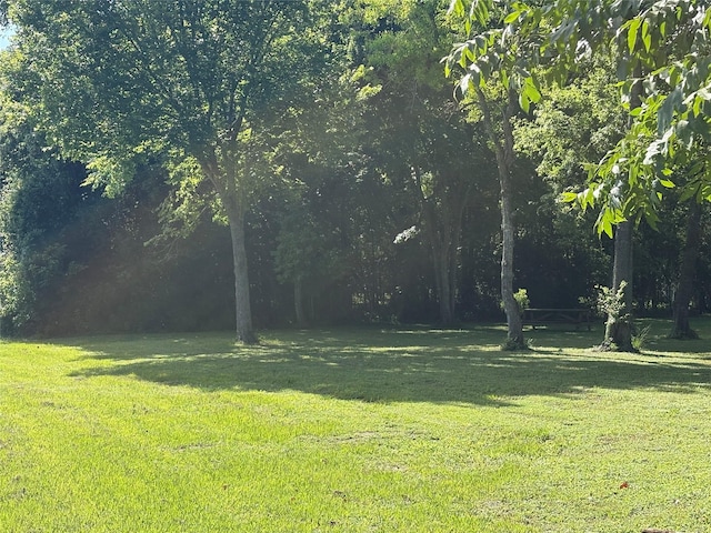 0 County Rd 42, Rosharon, TX 77583