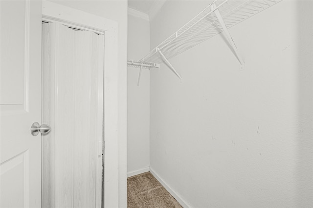 16839 Yates St, Splendora, TX 77372 - walk in closet featuring carpet flooring
