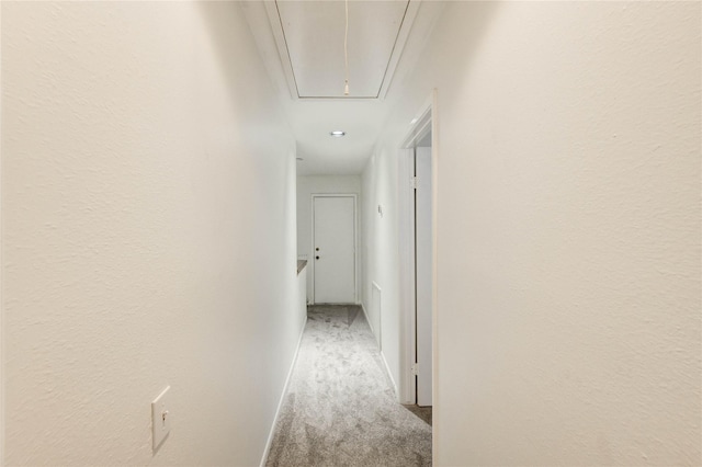1572 Prairie Grove Dr, Houston, TX 77077 - corridor with attic access and carpet floors
