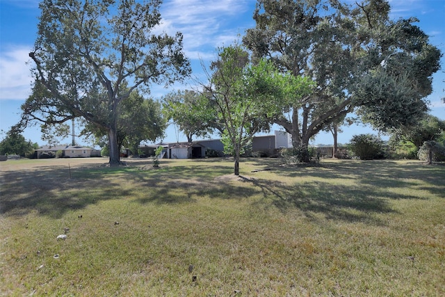 29515 Quinn Rd, Tomball, TX 77375 - view of green lawn