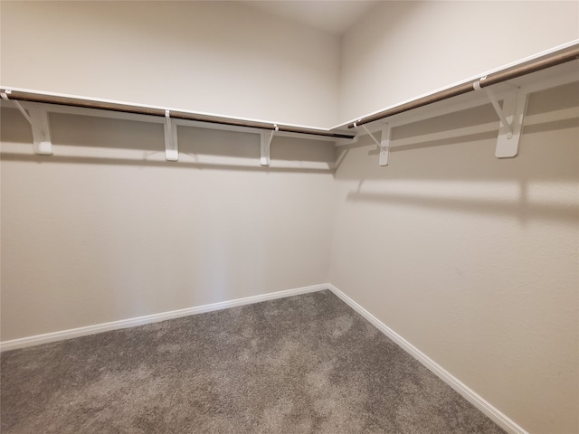 11166 Magnolia Dr, Plantersville, TX 77363 - photo 20