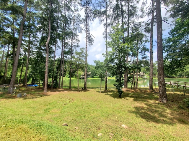 11166 Magnolia Dr, Plantersville, TX 77363 - photo 27