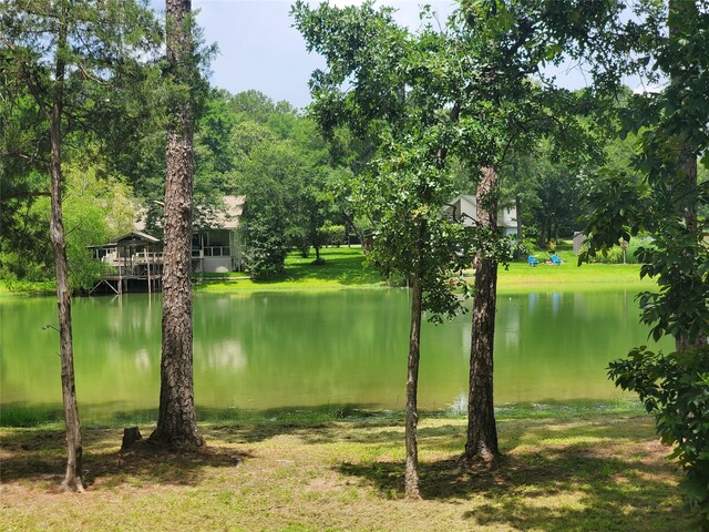 11166 Magnolia Dr, Plantersville, TX 77363 - photo 28