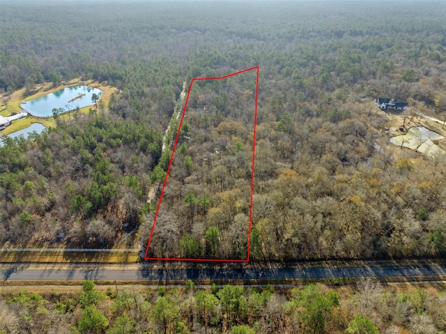 TBD Rhonda Rosa Rd, Wallisville, TX 77597 - photo 1