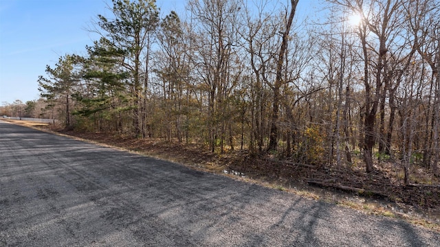 TBD Rhonda Rosa Rd, Wallisville, TX 77597 - photo 8