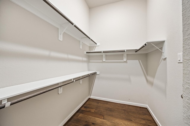 20923 Bradley Gardens Dr, Spring, TX 77379 - walk in closet with dark wood-style floors