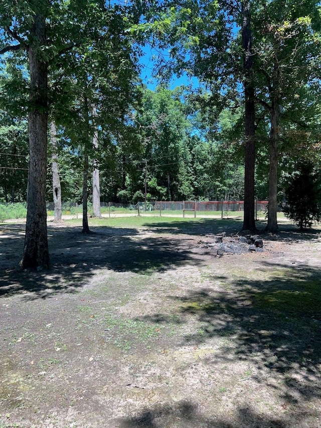 400 Carson Roberson Rd, Livingston, TX 77351 - view of yard