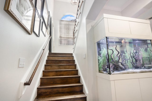4925 Pine St, Bellaire, TX 77401 - stairs with crown molding