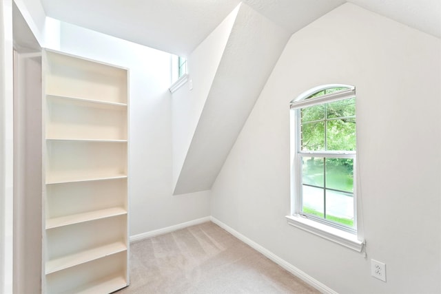 14210 Hansons Creek Ct, Houston, TX 77044 - bonus room with carpet, plenty of natural light, and lofted ceiling