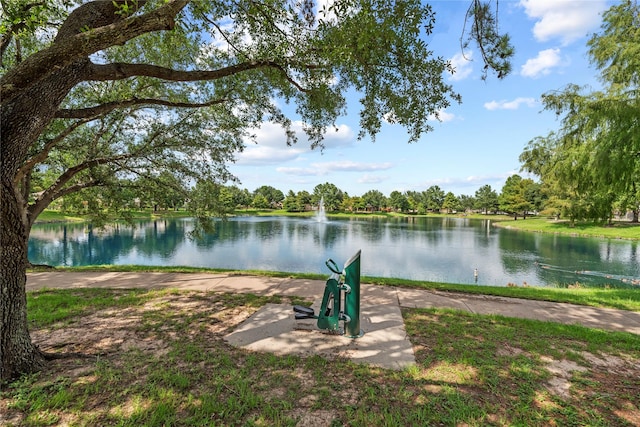 17706 Riata Lake Dr, Cypress, TX 77433 - water view