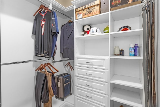 9311 Windrush Dr, Spring, TX 77379 - view of walk in closet