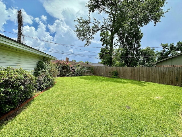 5818 Birchmont Dr, Houston, TX 77092 - view of fenced backyard