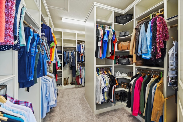 1002 Pleasant Pines Ln, Pinehurst, TX 77362 - spacious closet with attic access and carpet