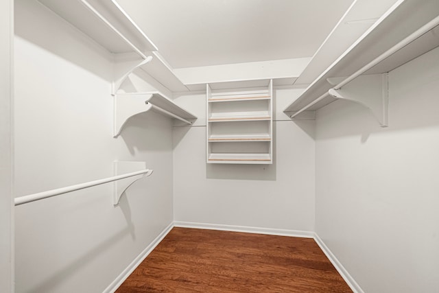 1908 Milam St, Columbus, TX 78934 - walk in closet with dark wood-type flooring