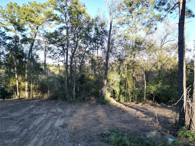 12604 Rollingwood Loop, Conroe, TX 77303