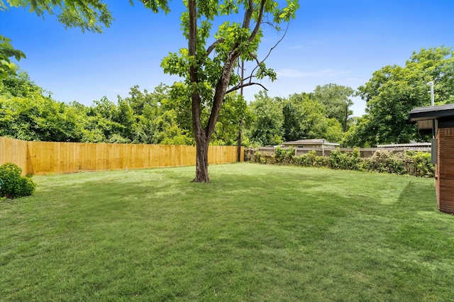 327 E Delz Dr, Houston, TX 77022 - view of fenced backyard