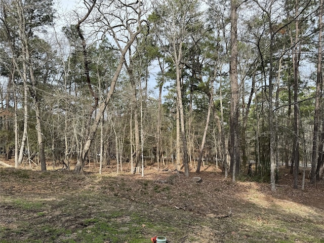 91 S Fairway Loop, Coldspring, TX 77331 - photo 2