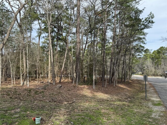 91 S Fairway Loop, Coldspring, TX 77331 - photo 3