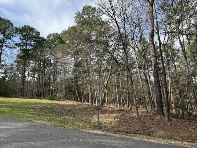 91 S Fairway Loop, Coldspring, TX 77331 - photo 4