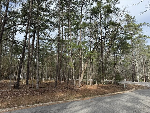 91 S Fairway Loop, Coldspring, TX 77331 - photo 5