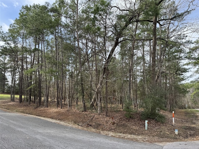 91 S Fairway Loop, Coldspring, TX 77331 - photo 6