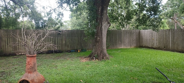 14631 Saint Cloud Dr, Houston, TX 77062 - view of fenced backyard