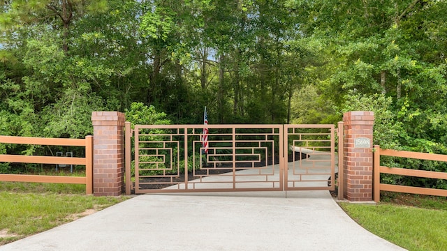 15608 Queen Victoria Ct, Montgomery, TX 77316 - view of gate