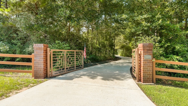15608 Queen Victoria Ct, Montgomery, TX 77316 - view of gate
