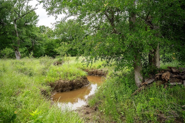 1716A County Road 469, Coupland, TX 78615