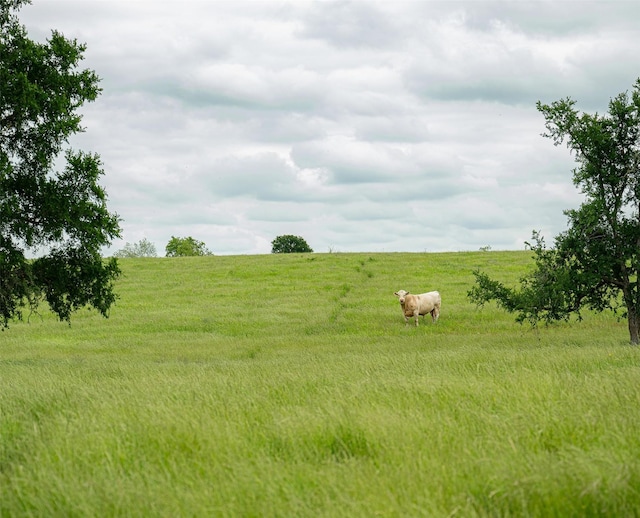 1716A County Road 469, Coupland, TX 78615