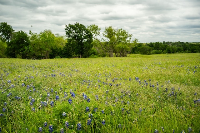 1716A County Road 469, Coupland, TX 78615