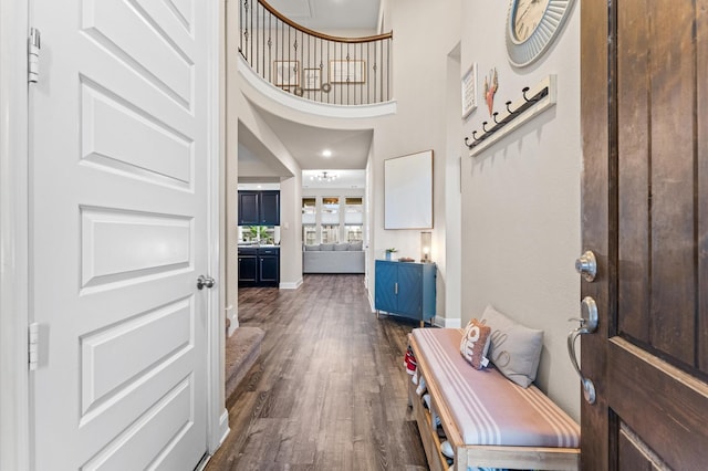 4110 Willow Wind Ct, Sugar Land, TX 77479 - entryway featuring dark wood-style floors and a high ceiling